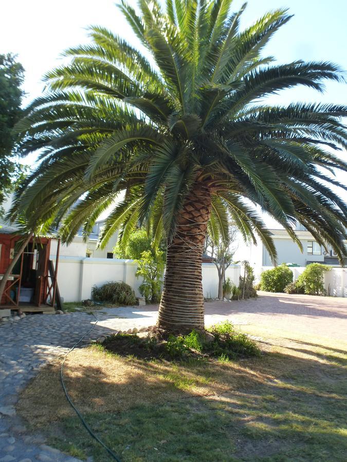 Cape Town Milnerton Lagoon Villa Exteriör bild